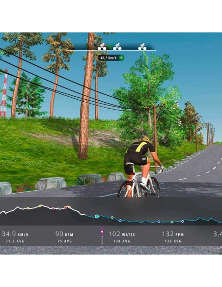 CEINTURE A POULS 60900