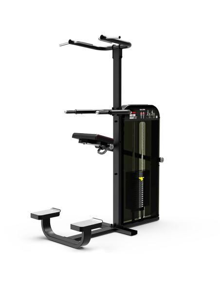 M-3088 DIP / CHIN ASSIST (DUAL)