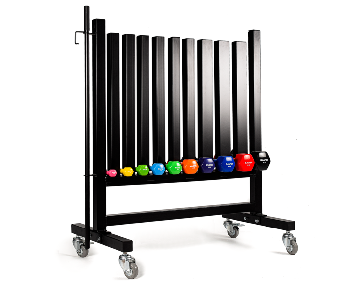 PX-250 RACK VYNIL DUMBBELLS