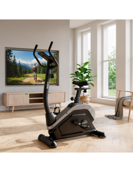 B-27 BICICLETA MAGNÉTICA