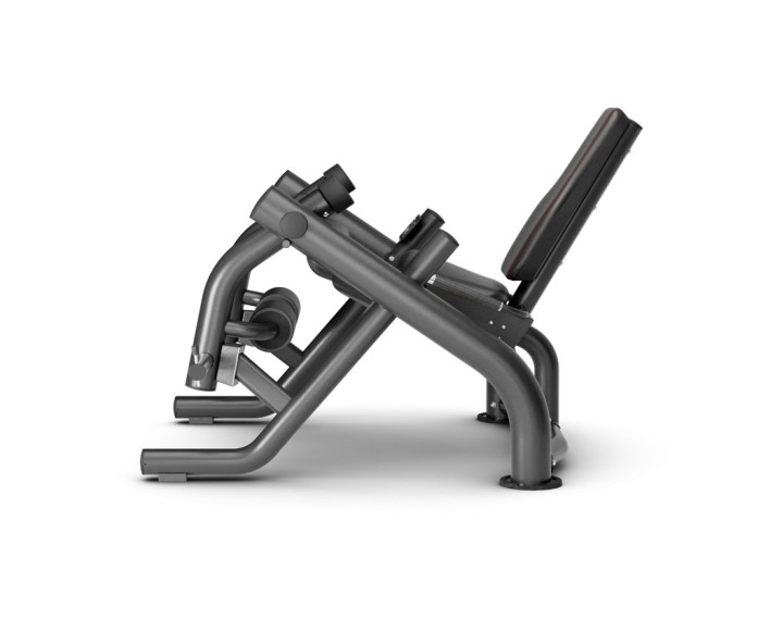 MP-126 ALTERN LEG EXTENSION