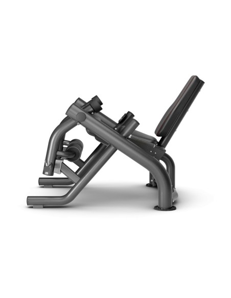 MP-126 EXTENSION CUADRICEPS ALTERNO