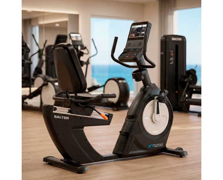 XT-529 / S RECLINED BIKE