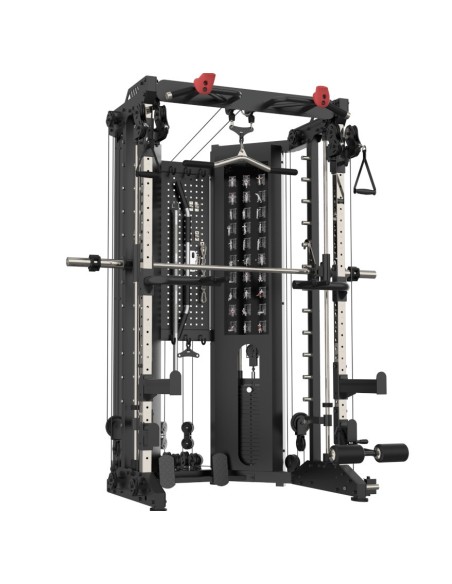 SH-21 MULTIFONCTION SMITH