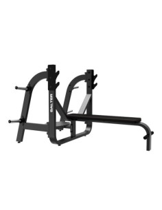 F-1025/50 BANC DE PRESSE HORIZONTALE AVEC SUPPORT DE DISQUE 2