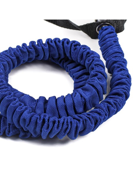 Blue Elastic Band - Salter