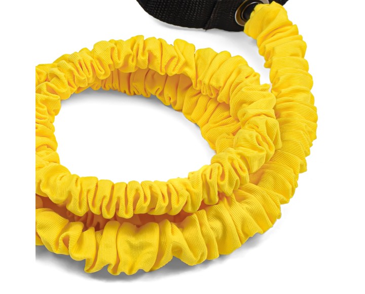 Elastic band - Salter