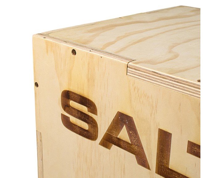 Box Jump - Salter