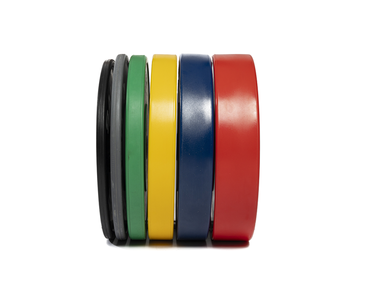 Bumper Plate 20 Kg - Salter