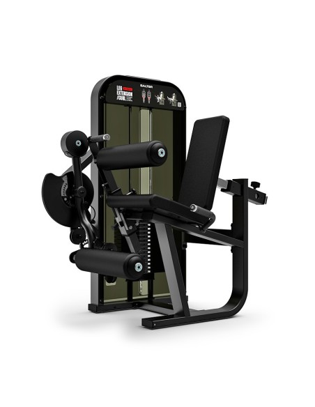 M-3082 FLEXION / EXTENSION DES JAMBES (DUAL)