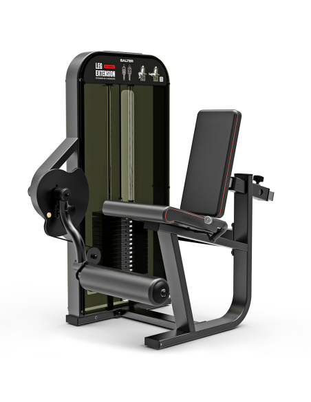 M-3026 EXTENSIÓN DE PIERNAS