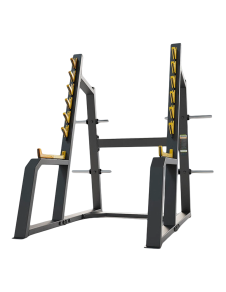 F-0010 VERSUS SQUAT RACK