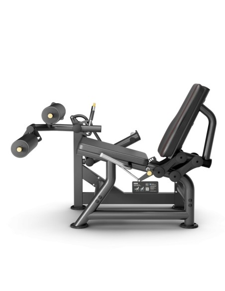 MP-129 SEATED LEG CURLING