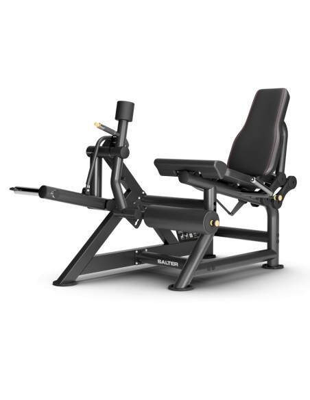 M-136 EXTENSION DES JAMBES