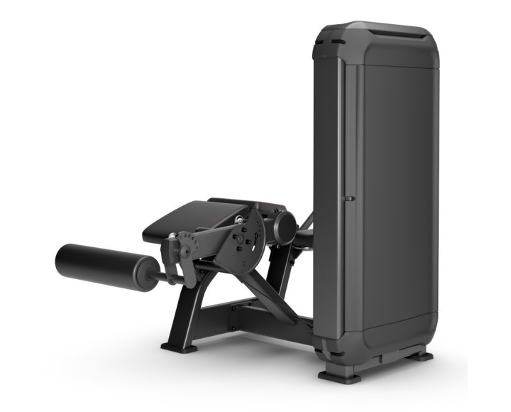 M-5027 FLEXION DE PIERNAS