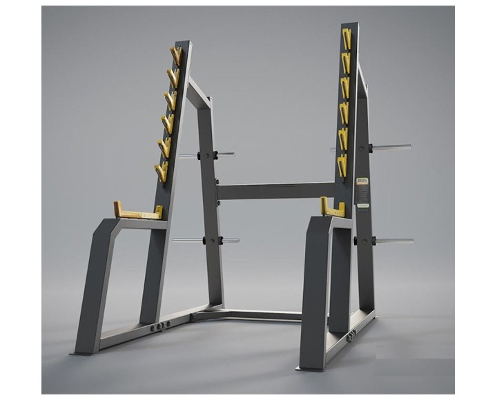 F-0010 VERSUS SQUAT RACK