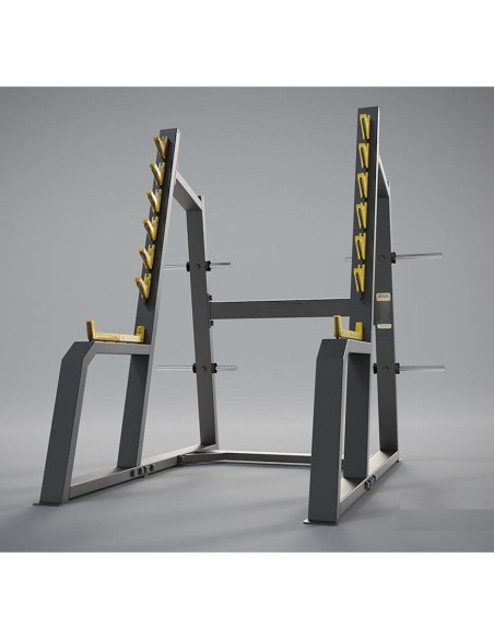 F-0010 VERSUS SQUAT RACK