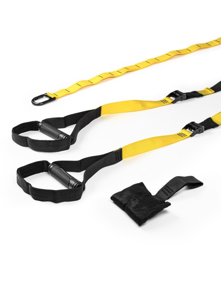 Suspension training set - Salter